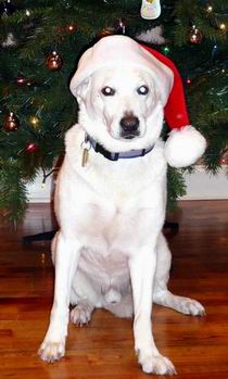 12-09-07ghost.jpg
