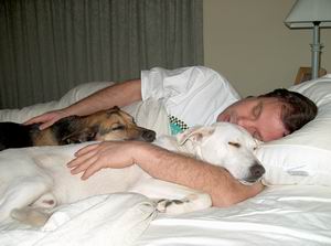 sleepdogs.jpg